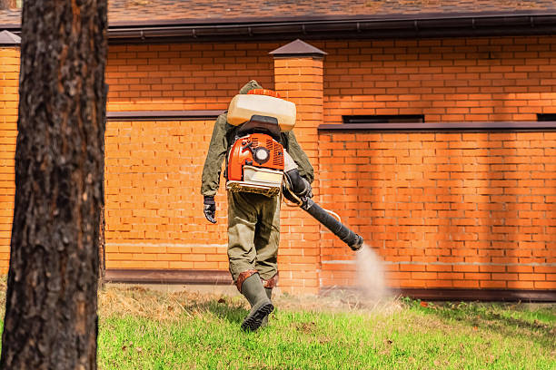 Trusted Ant Control service in Rehoboth Beach, DE - Nex Pest Control